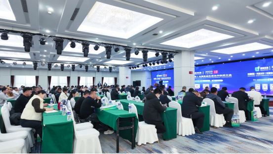 1767174067283156.png image.png